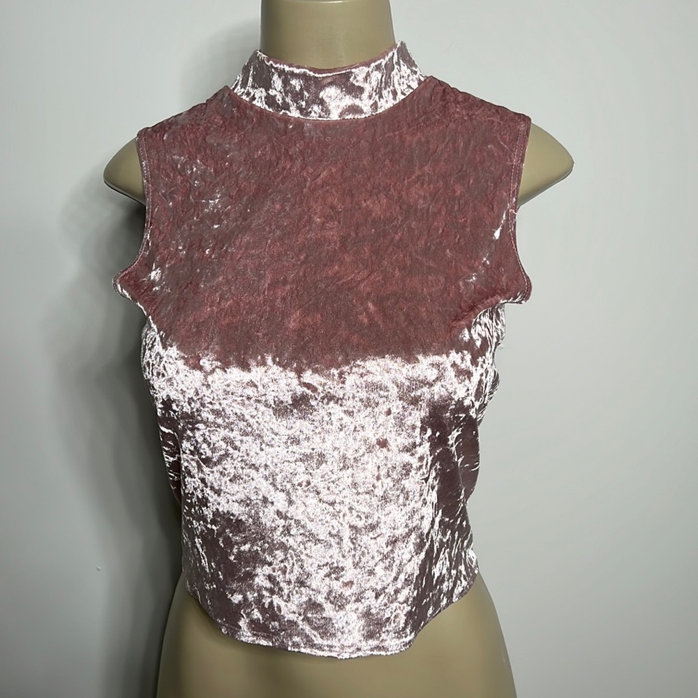 Have shiny pink velvet top size Medium